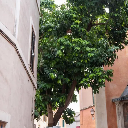 Apartment Beyond The Tiber Trastevere *
